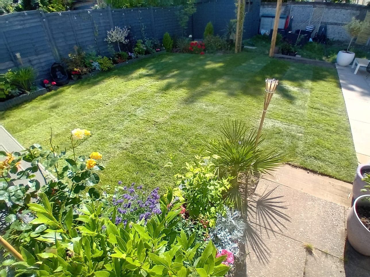 Freshly cut lawn and vibrant flower borders maintained as part of regular garden care and lawn treatment services.